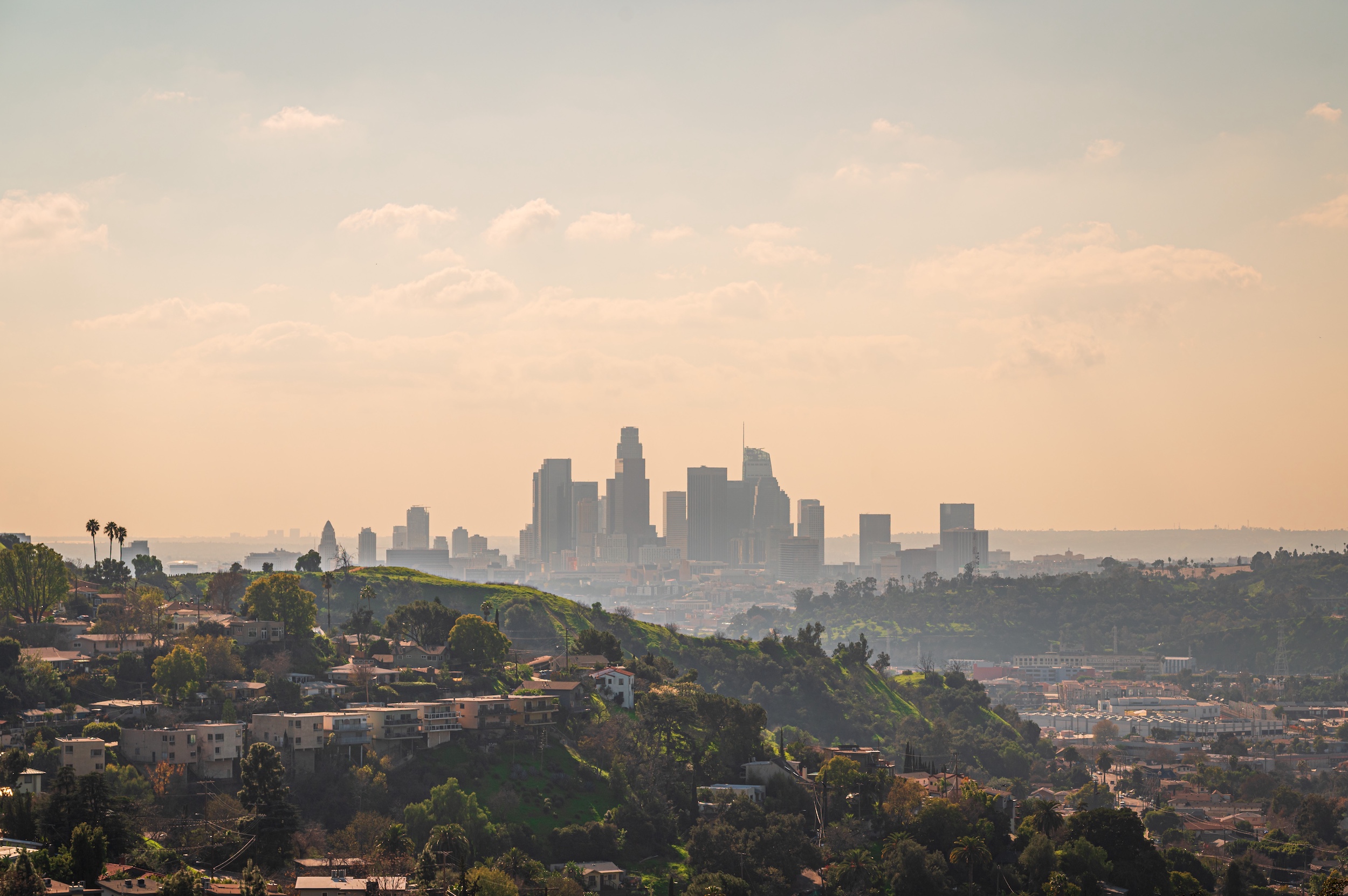 View of the city of Los Angeles on top of the Hollywood Hills